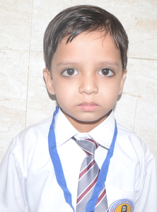 VINAYAK  MISHRA